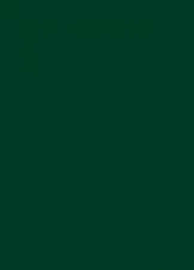 Фасады Фасад из акрила 060 Dark Green (Темно-зеленый) на заказ в Крыму Фасады Фасад из акрила 060 Dark Green (Темно-зеленый) на заказ в Крыму фотография