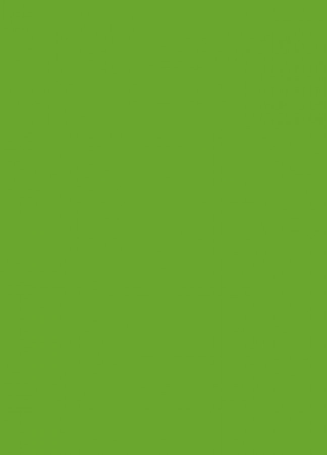 Фасады Фасад из акрила 063 Lime-tree green (Липово-зеленый) на заказ в Крыму Фасады Фасад из акрила 063 Lime-tree green (Липово-зеленый) на заказ в Крыму фотография