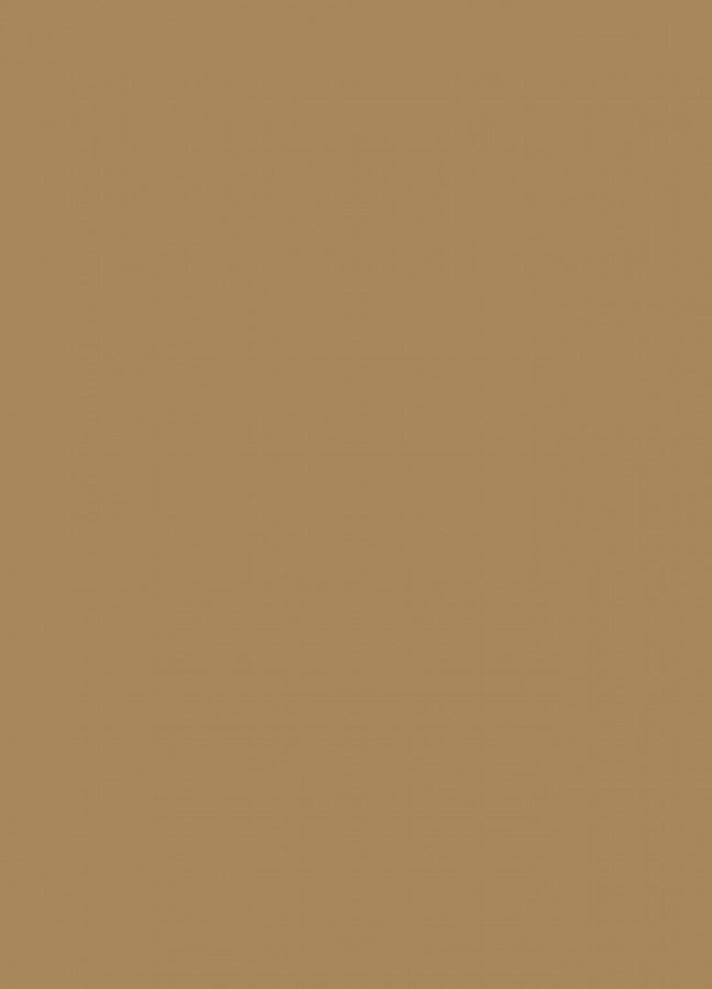 Фасады Фасад из акрила 081 Light brown (Светло-коричневый) на заказ в Крыму фотография