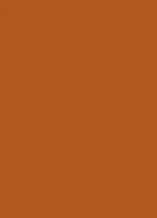 Фасады Фасад из акрила 083 Nut brown (Ореховый) на заказ в Крыму фотография